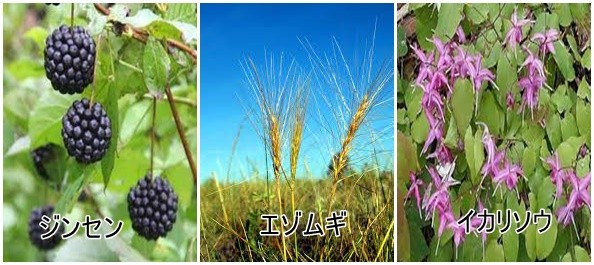 紺色の枕